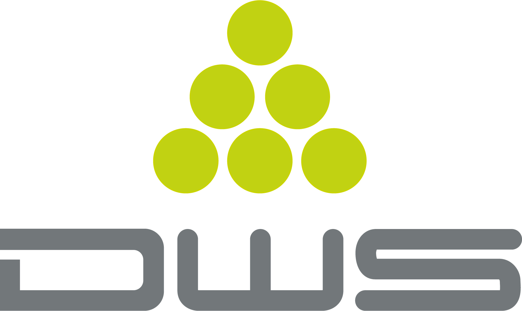 DWS SRL